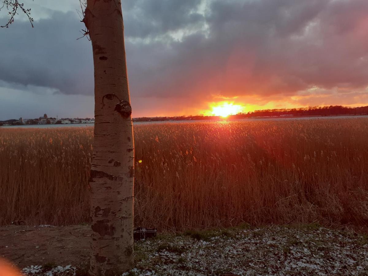 Apartment Usedom Peene Idyll