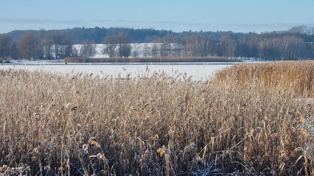 Usedom Peene Idyll Wolgast